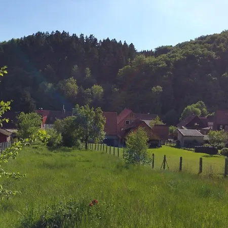 Feriehus Ferienhaus-steina-sylvia-bothe Bad Sachsa
